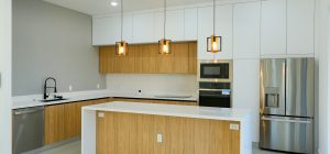 cape-coral-house-for-sale_DSC3773 cape-coral-house-for-sale_DSC3773