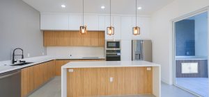 cape-coral-house-for-sale_DSC3800 cape-coral-house-for-sale_DSC3800